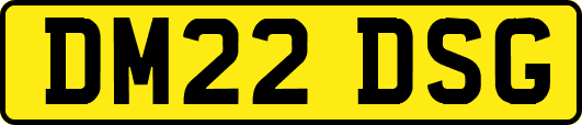 DM22DSG