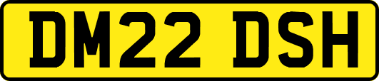 DM22DSH