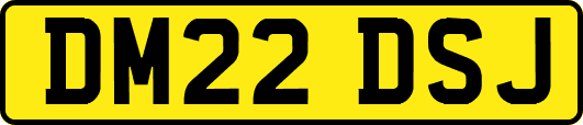 DM22DSJ
