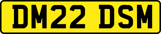 DM22DSM