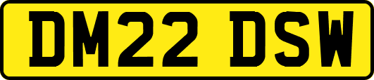 DM22DSW