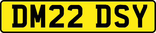 DM22DSY
