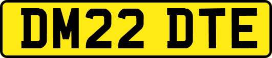DM22DTE