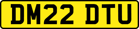 DM22DTU