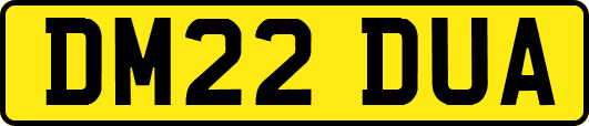 DM22DUA