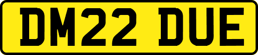 DM22DUE