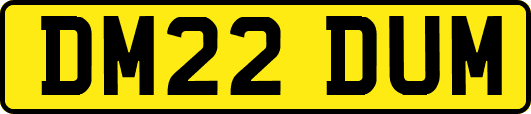 DM22DUM