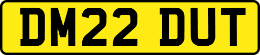 DM22DUT