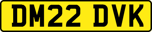 DM22DVK