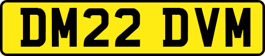 DM22DVM