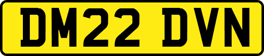 DM22DVN