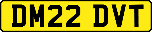DM22DVT