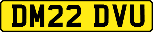 DM22DVU