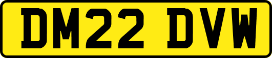 DM22DVW