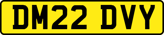 DM22DVY