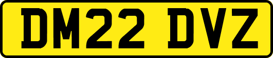 DM22DVZ