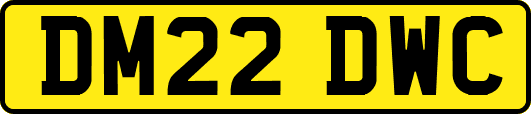 DM22DWC