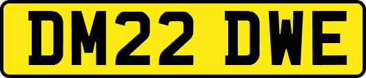 DM22DWE