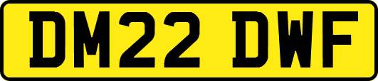DM22DWF
