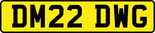 DM22DWG