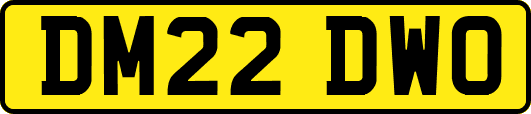 DM22DWO