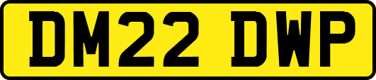 DM22DWP