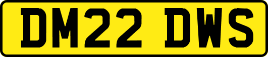 DM22DWS