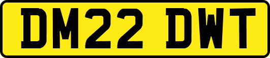 DM22DWT
