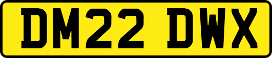 DM22DWX