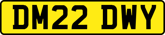 DM22DWY