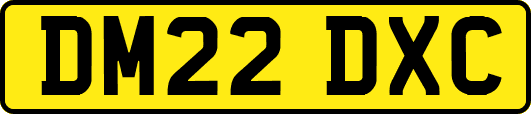 DM22DXC
