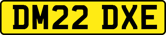 DM22DXE