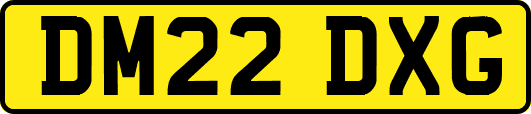 DM22DXG