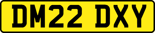 DM22DXY