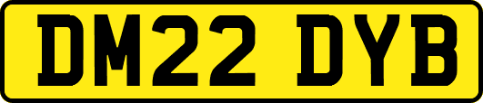 DM22DYB