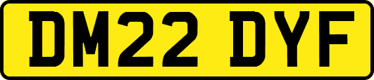 DM22DYF