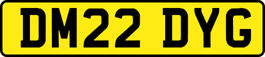DM22DYG