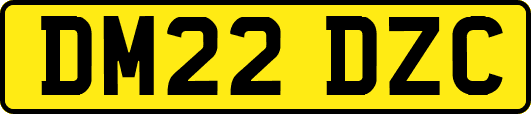 DM22DZC