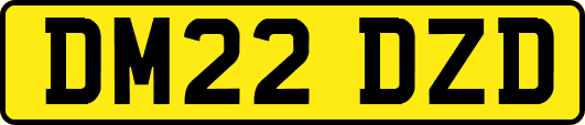 DM22DZD