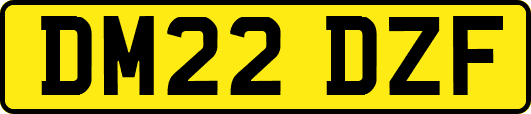 DM22DZF