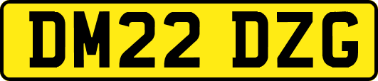 DM22DZG