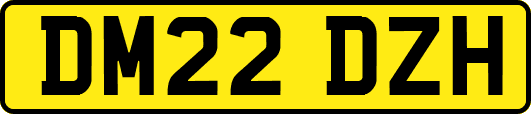 DM22DZH