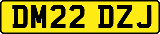 DM22DZJ
