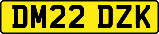 DM22DZK