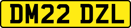 DM22DZL