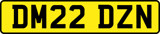 DM22DZN