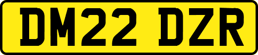DM22DZR