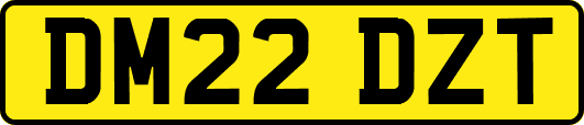 DM22DZT