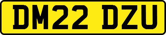 DM22DZU