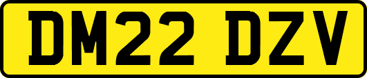 DM22DZV